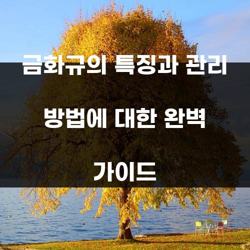 금화규의 특징과 관리 방법에 대한 완벽 가이드
