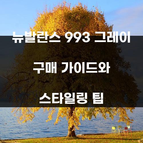 뉴발란스 993 그레이 구매 가이드와 스타일링 팁