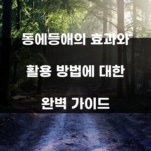 동에등애의 효과와 활용 방법에 대한 완벽 가이드