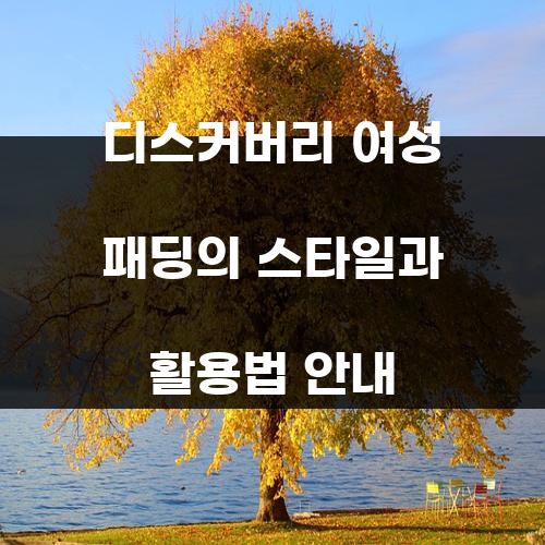 디스커버리 여성 패딩의 스타일과 활용법 안내