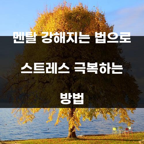 멘탈 강해지는 법으로 스트레스 극복하는 방법