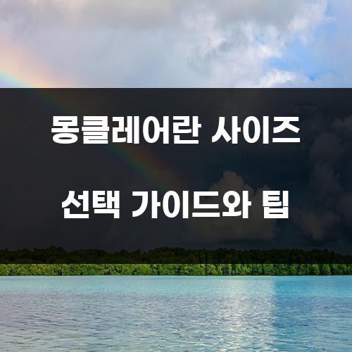 몽클레어란 사이즈 선택 가이드와 팁
