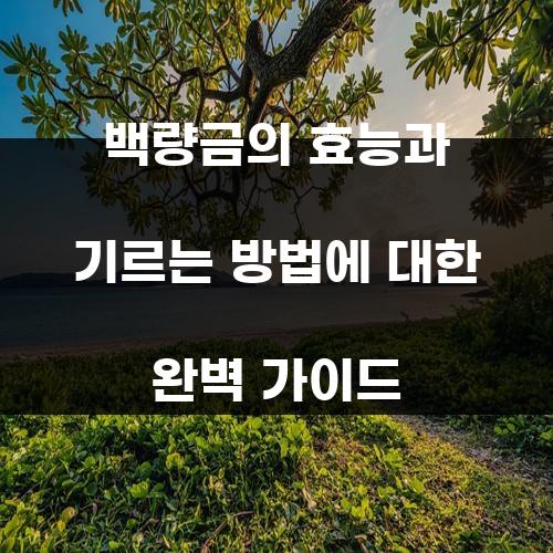 백량금의 효능과 기르는 방법에 대한 완벽 가이드