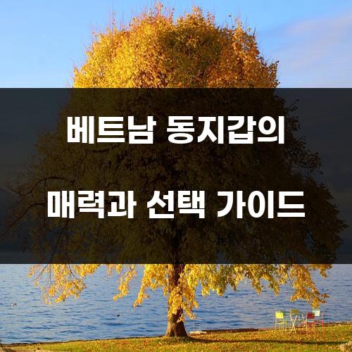 베트남 동지갑의 매력과 선택 가이드