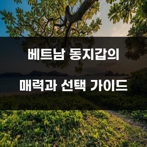 베트남 동지갑의 매력과 선택 가이드