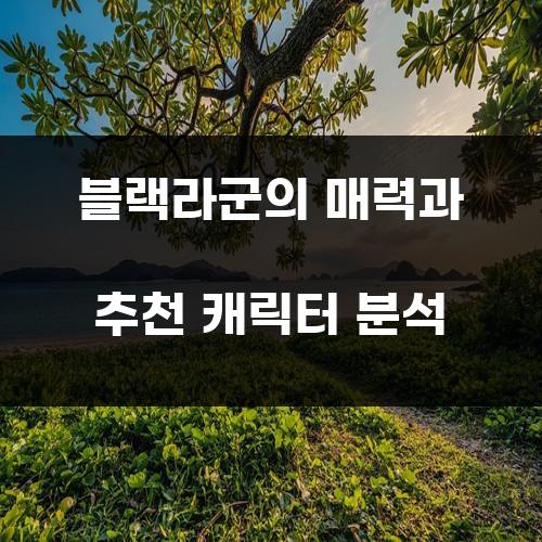 블랙라군의 매력과 추천 캐릭터 분석