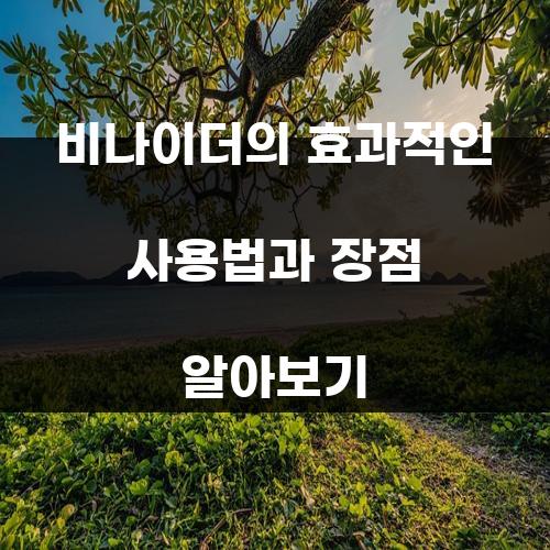비나이더의 효과적인 사용법과 장점 알아보기