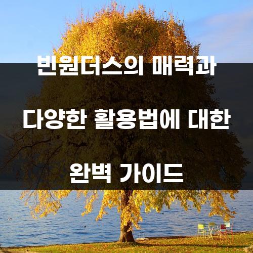 빈원더스의 매력과 다양한 활용법에 대한 완벽 가이드