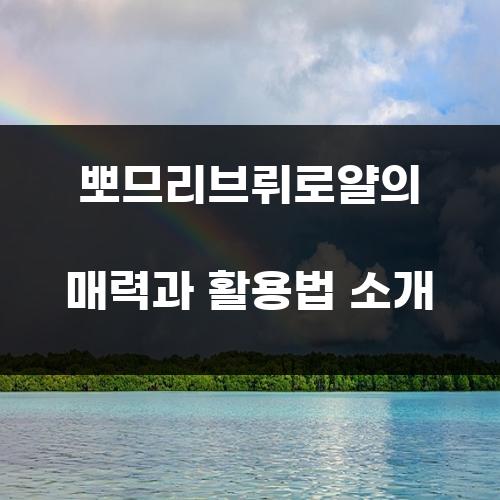 뽀므리브뤼로얄의 매력과 활용법 소개