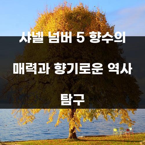 샤넬 넘버 5 향수의 매력과 향기로운 역사 탐구