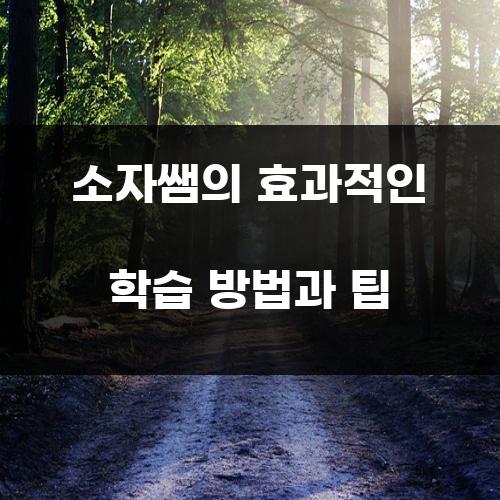 소자쌤의 효과적인 학습 방법과 팁