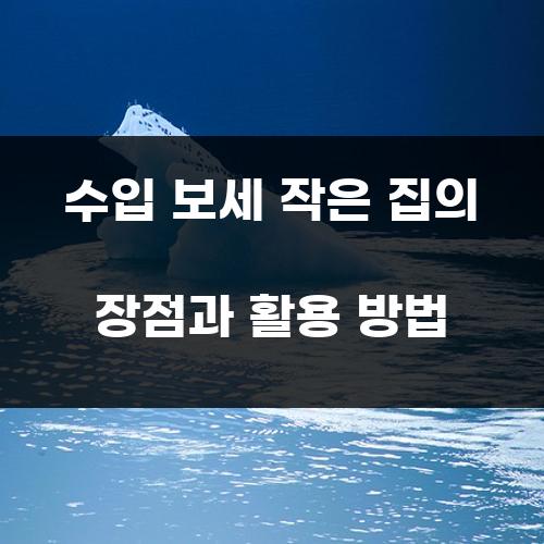수입 보세 작은 집의 장점과 활용 방법