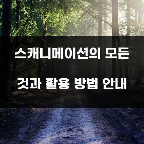 스캐니메이션의 모든 것과 활용 방법 안내
