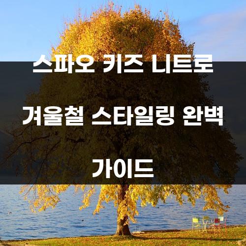 스파오 키즈 니트로 겨울철 스타일링 완벽 가이드