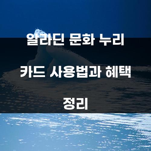 알라딘 문화 누리 카드 사용법과 혜택 정리