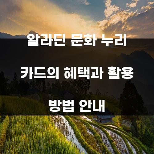알라딘 문화 누리 카드의 혜택과 활용 방법 안내
