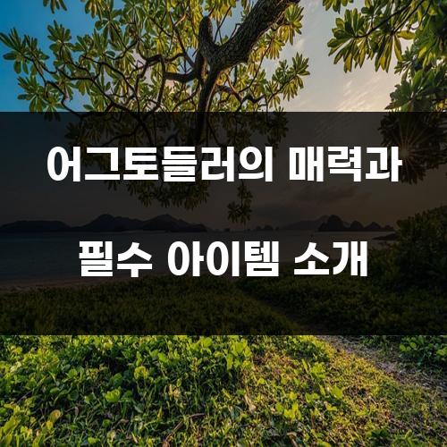 어그토들러의 매력과 필수 아이템 소개