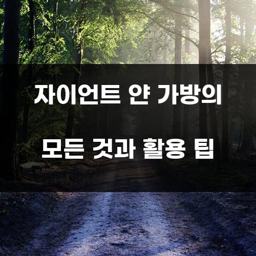 자이언트 얀 가방의 모든 것과 활용 팁