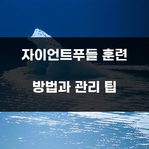 자이언트푸들 훈련 방법과 관리 팁