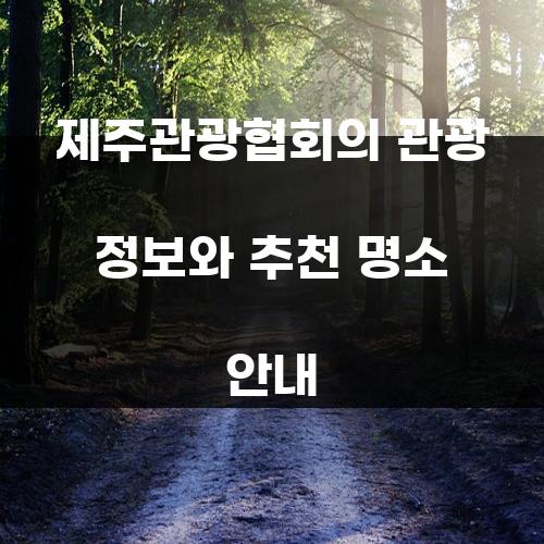 제주관광협회의 관광 정보와 추천 명소 안내