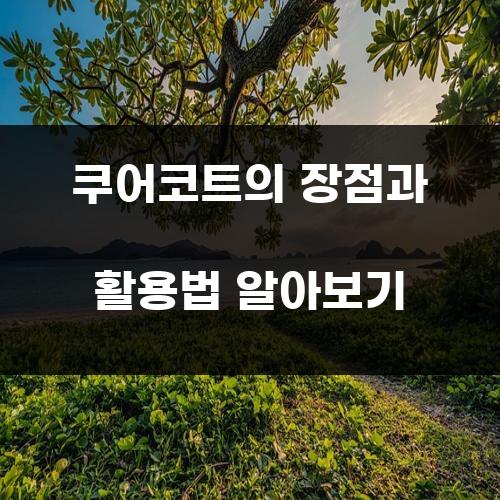 쿠어코트의 장점과 활용법 알아보기