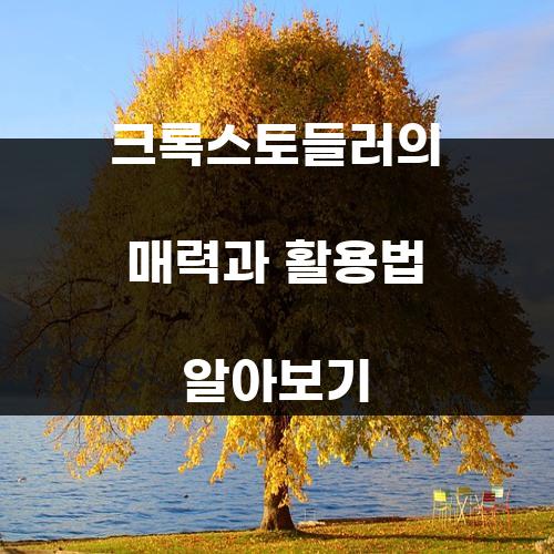 크록스토들러의 매력과 활용법 알아보기