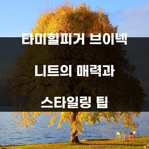 타미힐피거 브이넥 니트의 매력과 스타일링 팁