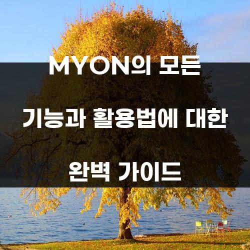 MYON의 모든 기능과 활용법에 대한 완벽 가이드