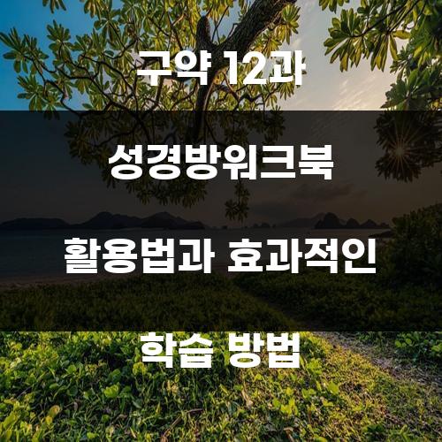 구약 12과 성경방워크북 활용법과 효과적인 학습 방법