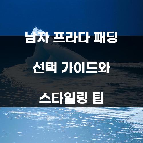 남자 프라다 패딩 선택 가이드와 스타일링 팁