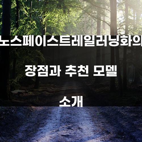 노스페이스트레일러닝화의 장점과 추천 모델 소개