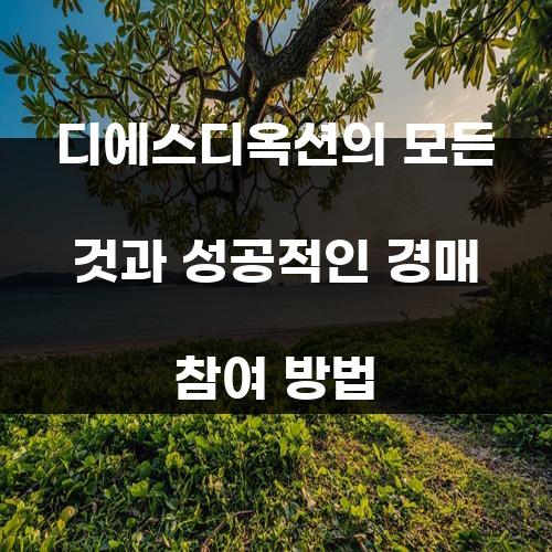 디에스디옥션의 모든 것과 성공적인 경매 참여 방법