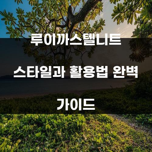 루이까스텔니트 스타일과 활용법 완벽 가이드