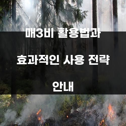 매3비 활용법과 효과적인 사용 전략 안내