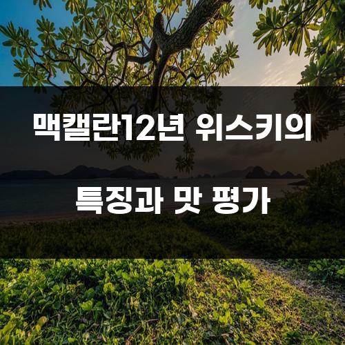 맥캘란12년 위스키의 특징과 맛 평가
