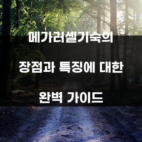 메가러셀기숙의 장점과 특징에 대한 완벽 가이드
