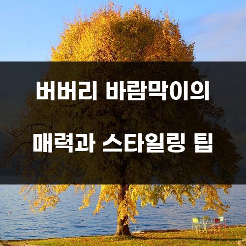 버버리 바람막이의 매력과 스타일링 팁