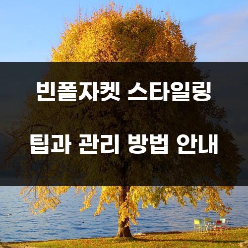 빈폴자켓 스타일링 팁과 관리 방법 안내