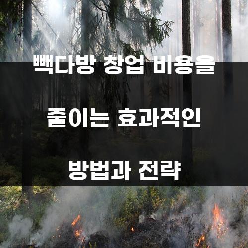빽다방 창업 비용을 줄이는 효과적인 방법과 전략