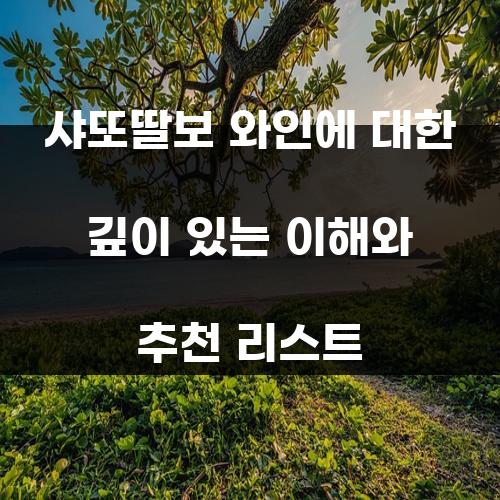 샤또딸보 와인에 대한 깊이 있는 이해와 추천 리스트