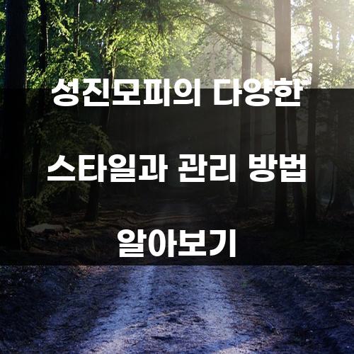 성진모피의 다양한 스타일과 관리 방법 알아보기