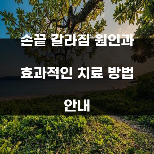 손끝 갈라짐 원인과 효과적인 치료 방법 안내