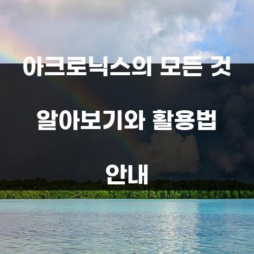 아크로닉스의 모든 것 알아보기와 활용법 안내