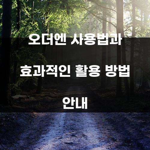 오더엔 사용법과 효과적인 활용 방법 안내