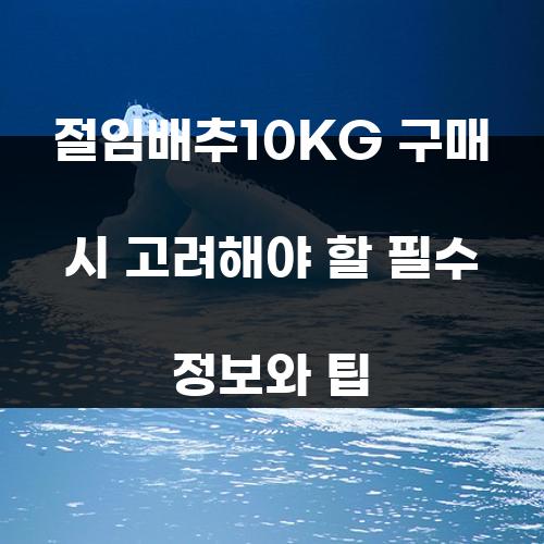 절임배추10KG 구매 시 고려해야 할 필수 정보와 팁