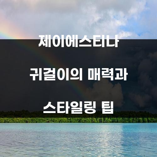 제이에스티나 귀걸이의 매력과 스타일링 팁