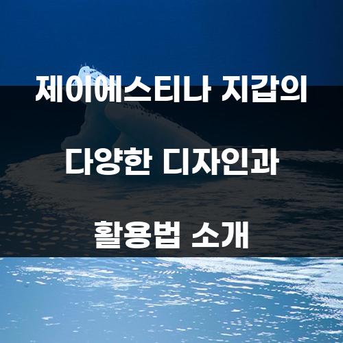 제이에스티나 지갑의 다양한 디자인과 활용법 소개