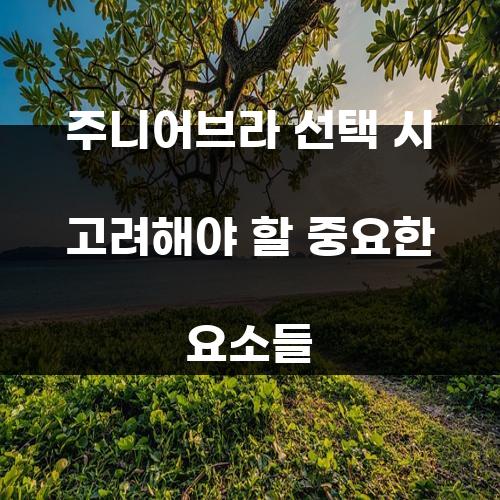 주니어브라 선택 시 고려해야 할 중요한 요소들