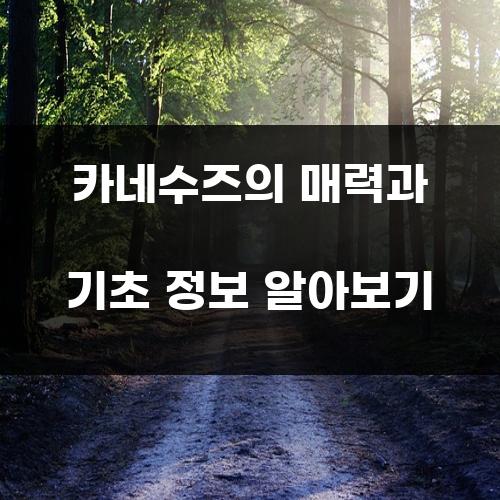 카네수즈의 매력과 기초 정보 알아보기