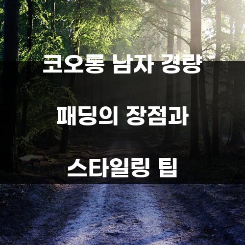 코오롱 남자 경량 패딩의 장점과 스타일링 팁